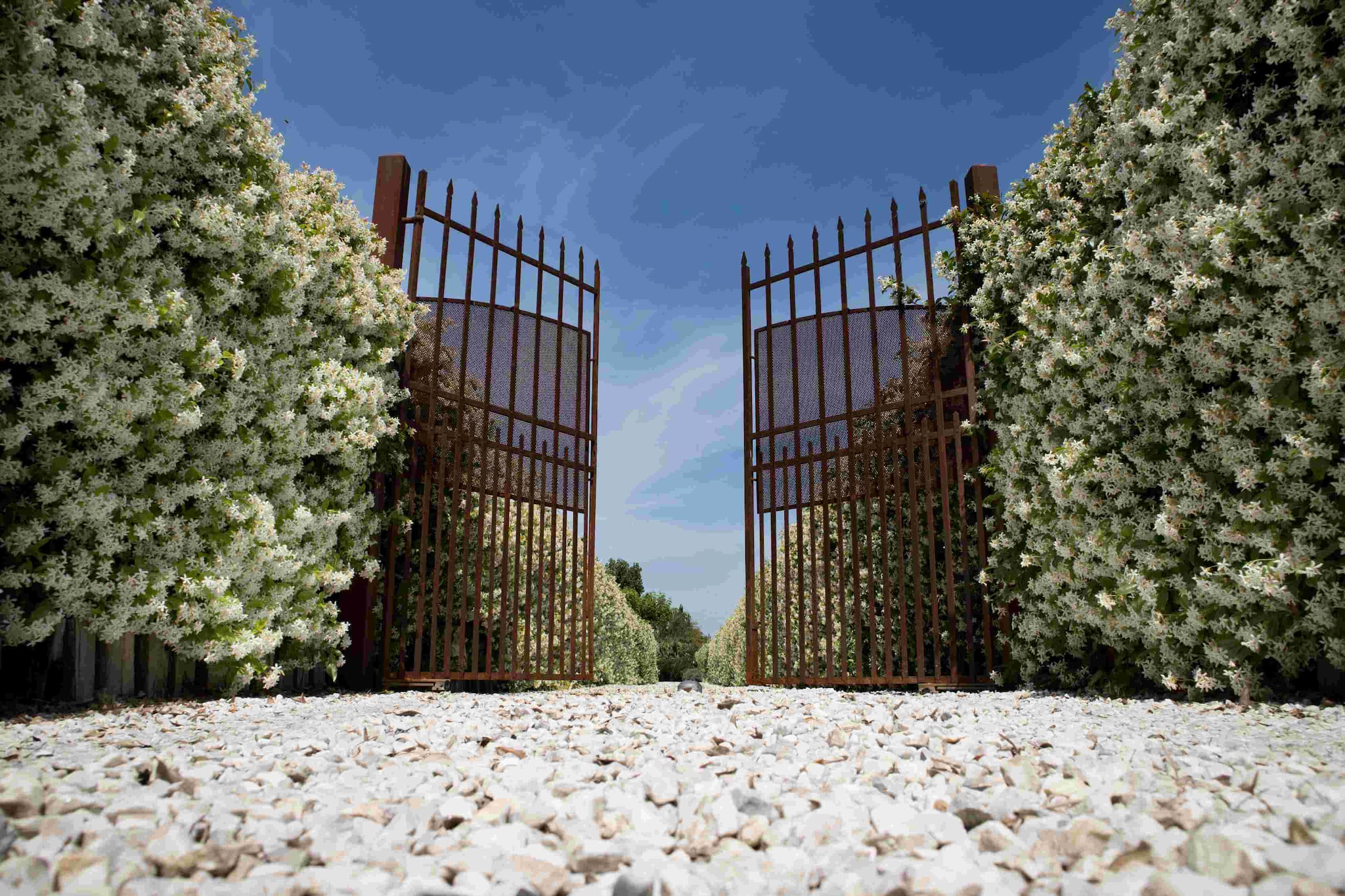 Driveway Gates in Houston, TX